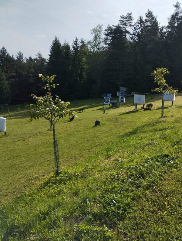 Aktivnosti DU Zabukovica-Griže – fotografija 8